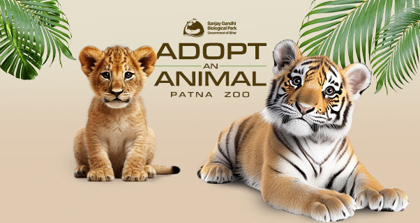 Make a Difference Today