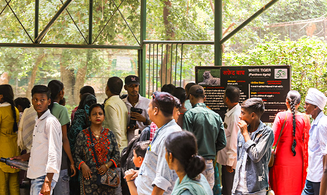 Zoo facilities overview